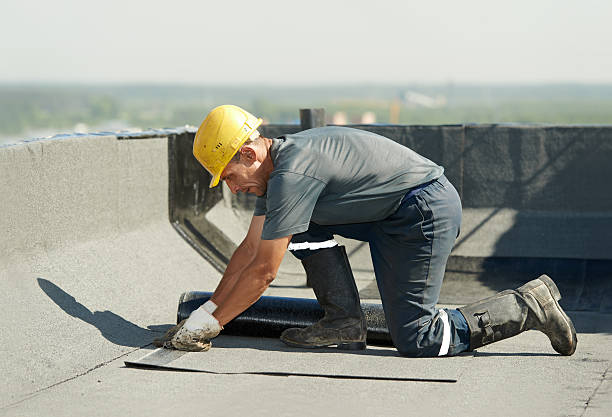 Best Specialized Insulation Services in Hereford, TX