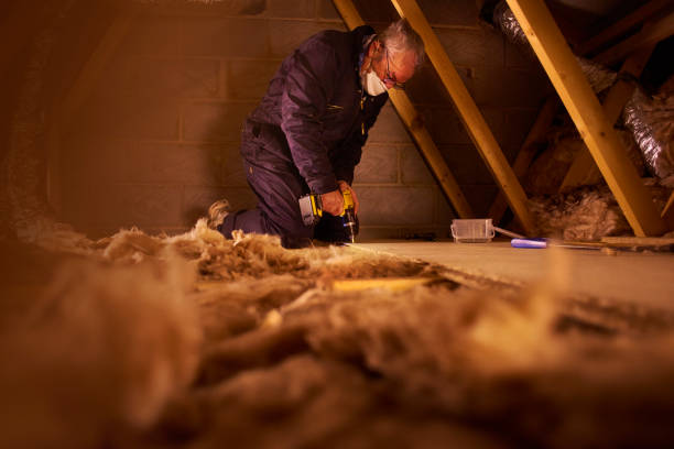 Best Cellulose Insulation in Hereford, TX